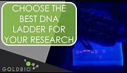 How to Choose the Best Goldbio DNA Ladder for Your Research
