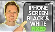 iPhone Screen Black And White (How To Fix)