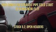 1993 Dodge Ram D150 Straight Piped Cold Start (318/5.2 Magnum)