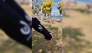Volleyball Arm Sleeves Passing Forearm Sleeves