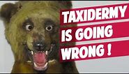 When TAXIDERMY goes WRONG... very WRONG!