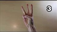 Numbers 1 to 30 in British Sign Language BSL - Right Handed Signer Point of View