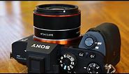 Samyang AF 24mm f/2.8 FE lens review with samples (Full-frame & APS-C)