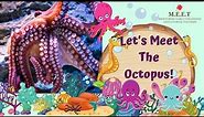 Let's Meet The Octopus! | preschool learning videos on sea animals (Giant Pacific Octopus)