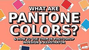 What Are Pantone Colors? & How to Use Them in Adobe Products