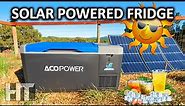 ACOPOWER LiON Mini Solar Powered Refrigerator Freezer Review