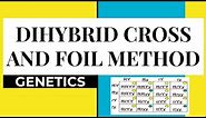 HOW TO DO A DIHYBRID CROSS WITH FOIL METHOD? | DIHYBRID CROSS/ TWO TRAITS CROSS MADE EASY |
