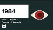 1984 | Book 3 | Chapter 1 Summary & Analysis | George Orwell