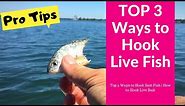 Top 3 Ways to Hook Bait Fish | How to Hook Live Bait