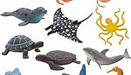 Kiddisie 12PCS Sea Animal Figures Toys Plastic Ocean Animals Figurines with Dolphin, Sea Turtle, Octopus, Starfish for Kids Toddler Party Supplies Cake Topper (12PCS Ocean Animal)