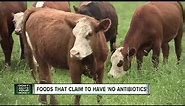 What does the label 'no antibiotics' really mean when purchasing meat?