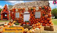 Dewberry farm | Best Pumpkin Patches Near Houston for Fall Fun | Dewberry Farms Fall Festival