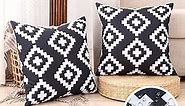 CARRIE HOME Black and White Outdoor Pillows Waterproof 18x18 Porch Throw Pillow Covers 18 x 18 Set of 2 Outdoor Patio Decor for Patio Furniture, RV, Backyard, Deck, Picnic, Beach, Trailer, Camping