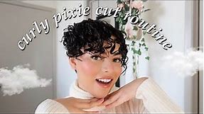 HOW TO STYLE A NATURALLY CURLY PIXIE CUT | My Curly Pixie Cut Routine | 2C 3A short curly hair