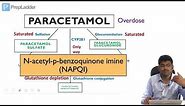 Paracetamol toxicity - Biochemical Basis - Lecture
