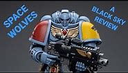 Joytoy Warhammer 40k Space Wolves Intercessor V2 (Army Builder) 1:18 Scale Action Figure Review.