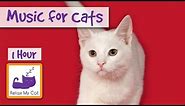 1 Hour of Music for Cats - Relax your Cats and Send them to Sleep CATS LOVE THIS MUSIC!