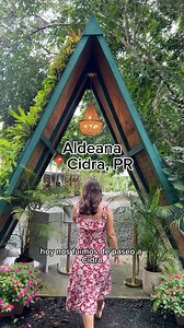 ✨ Vive Aldeana en Cidra: cocina local, buen vino y un ambiente único entre la naturaleza. 📅 Abrimos sábados y domingos | 12PM a 6PM 💻 Reserva fácil en aldeanapr.com Disfruta nuestro menú de degustación con ingredientes frescos y una excelente carta de vinos y cocteles. 🎉 ¿Tienes una ocasión especial? Celebra con nosotros: • Bodas • Cumpleaños • Quinceañeros • Eventos corporativos 📞 787-940-5267 | 📩 aldeanapr@gmail.com 📹 @itssofiavega | Aldeana