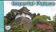 Discover Japan - Imperial Palace, Tokyo (皇居)