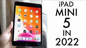 iPad Mini 5 In 2022! (Still Worth Buying?) (Review)
