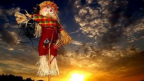 21 Fun Scarecrow Ideas To Make For Halloween And All Year Round