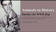 Animals in History - Smoky the WWII dog