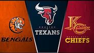 All 32 NFL Team Logos Rebrand #4