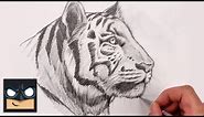 How To Draw White Tiger | Sketch Tutorial