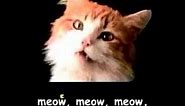 Meow Mix song