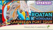 🇭🇳 Is Roatan Cruise Port Worth Visiting? - Caribbean Cruise Ports