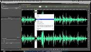 Adobe SoundBooth for 204: Basic Editing