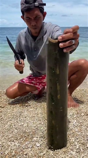 You Won't Believe What the Ocean Brought Ashore! 😲
