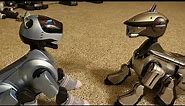 The Best Aibo Conversation Ever