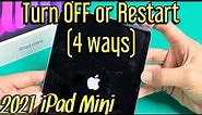 2021 iPad Mini: How to Power Down or Restart (4 ways)