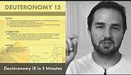 Deuteronomy 15 Summary: 5 Minute Bible Study