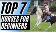 7 Best Horse Breeds for Beginners - Horse Breeds (Haflinger Horse, American Paint Horse)