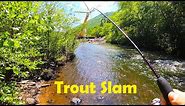 Lehigh River (JIM THORPE) Trout Slam + Old Ruins