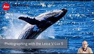 Photographing with the Leica V-Lux 5