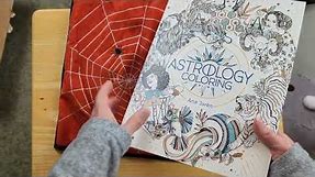 Crazy Coloring Book Discovery! This Astrology Coloring Book at Five Below is Only Five Dollars!