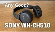 Sony WH-CH510 Bluetooth Wireless Headphones Review - Best at This Price?