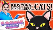 Kids Yoga and Mindfulness about CATS! 😻😻😻