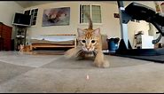 GoPro: Laser Cats - TV Commercial