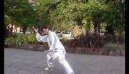 Wu Style Tai Chi 45 forms