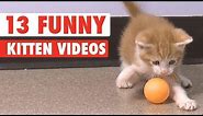 13 Funny Kittens Video Compilation 2016