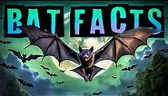 Bat Facts!