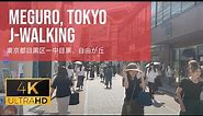 Meguro Tokyo - Naka Meguro, Jiyugaoka - JWalking 4k Walk 🇯🇵