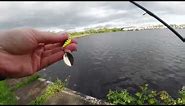 Fishing for Pike on Big water - HTO Rockfish Rod and Diawa Ninja 3000 reel