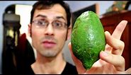 A VERY SPECIAL LIME - Taste Test of Gondhoraj Lebu from BANGLADESH - Weird Fruit Explorer