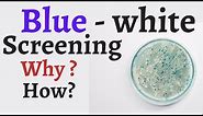 Blue white screening method | Lacz blue white screening explained | blue white screening principle