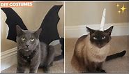 DIY Cat Halloween Costumes